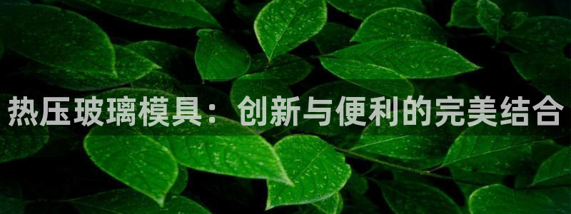 易倍申的价格：热压玻璃模具：创新与便利的完美结合