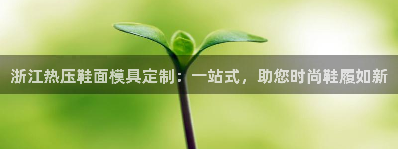 易倍申多少钱：浙江热压鞋面模具定制：一站式，助您时尚鞋履