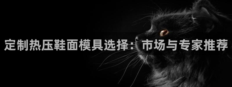 易倍申能长期吃吗：定制热压鞋面模具选择：市场与专家推荐