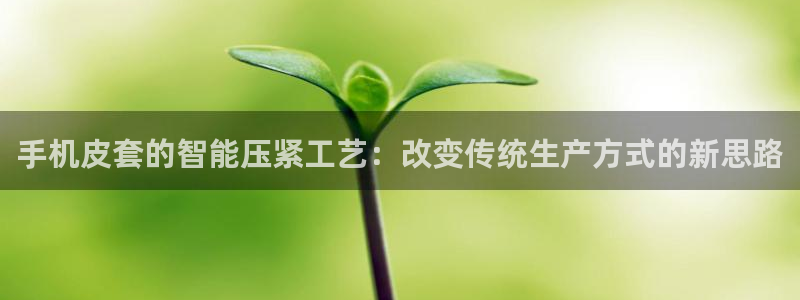 emc易倍官网登录首页:手机皮套的智能压紧工艺:改变传统