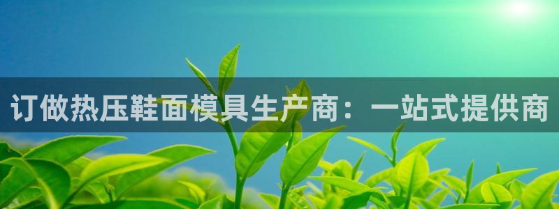 易倍科华生物科技有限公司：订做热压鞋面模具生产商：一站式