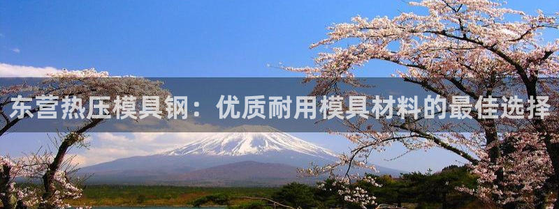 杭州易倍达科技有限公司怎么样：东营热压模具钢：优质耐用模