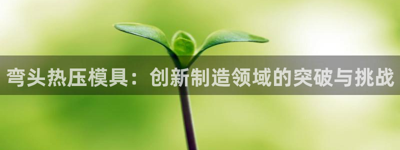 emc易倍首页：弯头热压模具：创新制造领域的突破与挑战