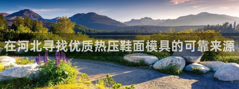 emc mcu：在河北寻找优质热压鞋面模具的可靠来源