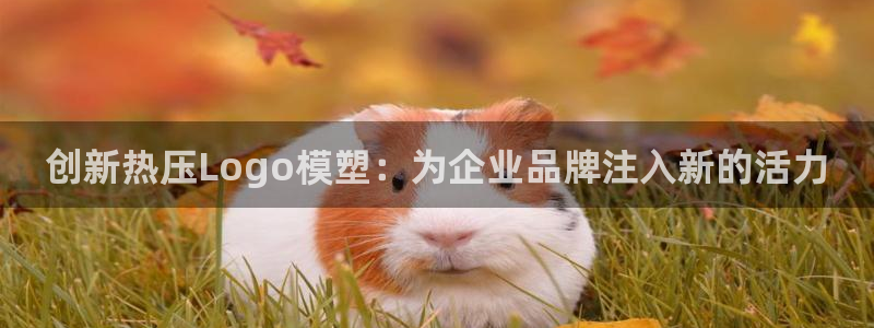 emc全站易倍：创新热压Logo模塑：为企业品牌注入新的