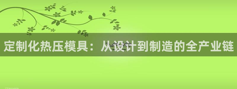 易倍单词软件：定制化热压模具：从设计到制造的全产业链