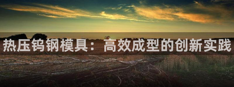 易倍申片说明书：热压钨钢模具：高效成型的创新实践