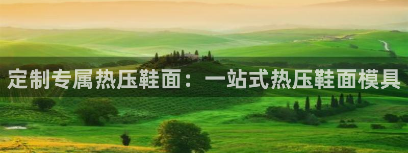 emc易倍首页：定制专属热压鞋面：一站式热压鞋面模具