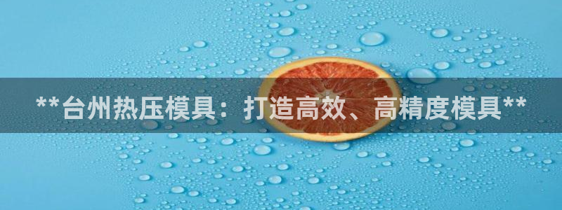 杭州易倍达科技有限公司怎么样：**台州热压模具：打造高效