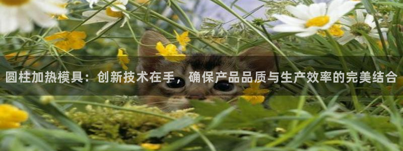 emcbet全站：圆柱加热模具：创新技术在手，确保产品品