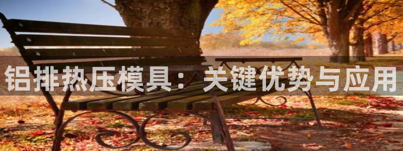 易倍单词app官网