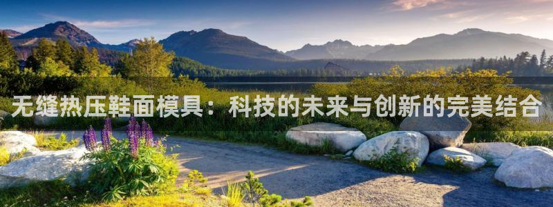 四川易倍易企业管理有限公司：无缝热压鞋面模具：科技的未来