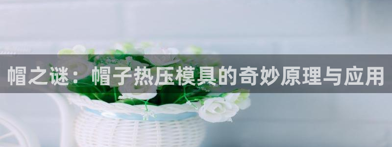 易倍纤多少钱：帽之谜：帽子热压模具的奇妙原理与应用