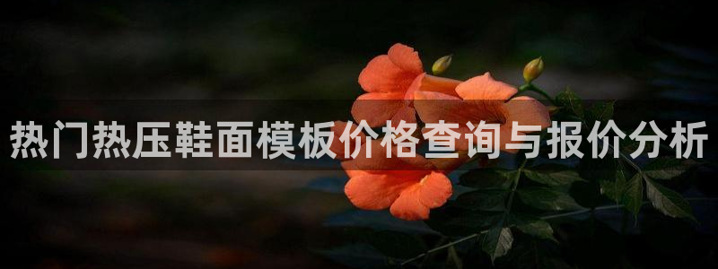 易倍纤使用方法：热门热压鞋面模板价格查询与报价分析