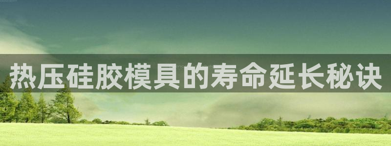 emc易倍电竞：热压硅胶模具的寿命延长秘诀
