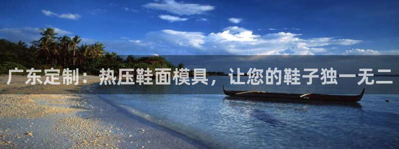 emc下载：广东定制：热压鞋面模具，让您的鞋子独一无二