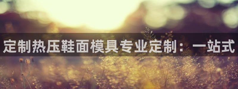 易倍下载：定制热压鞋面模具专业定制：一站式