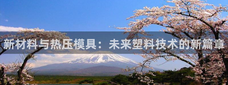 易倍申安理申区别