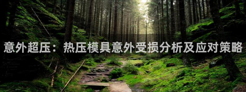 emc易倍下载:意外超压:热压模具意外受损分析及应对策略