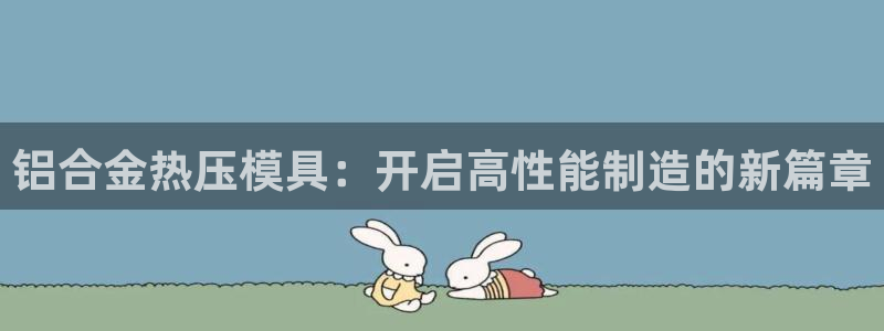 四川易倍易企业管理有限公司：铝合金热压模具：开启高性能制